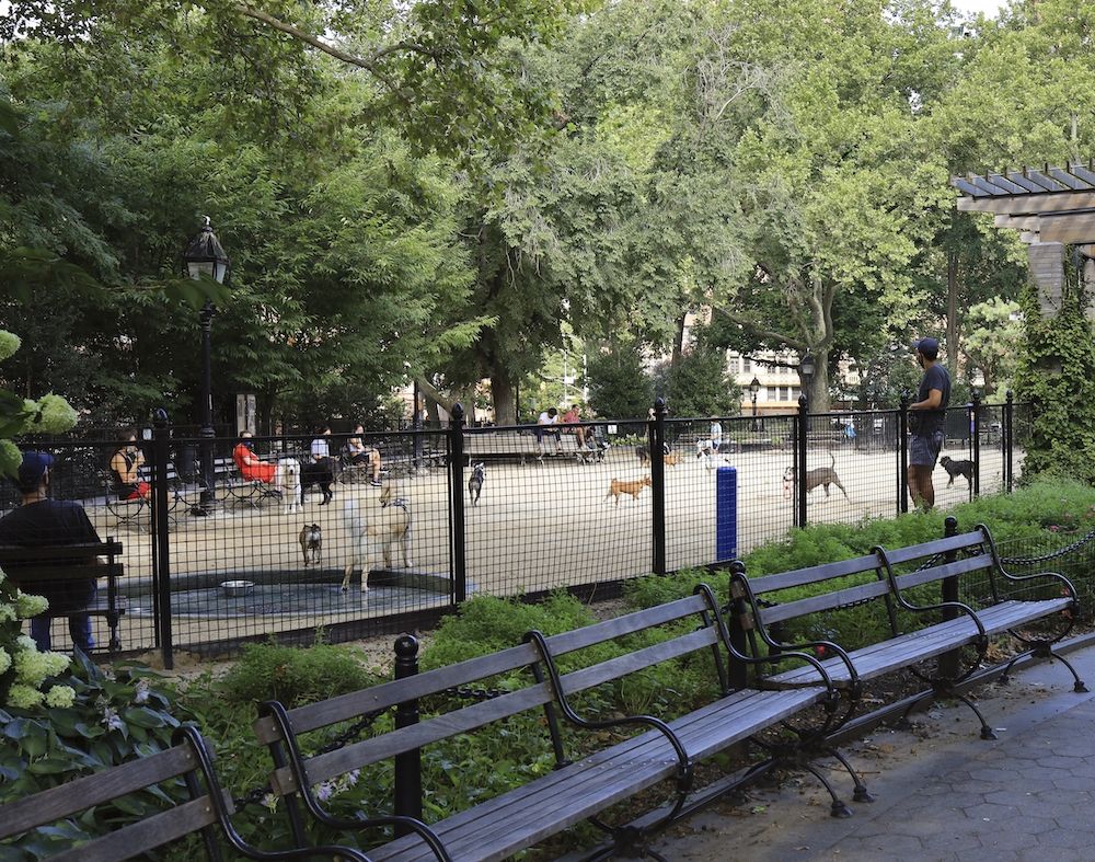 The Gossip Column, July 9, 2021